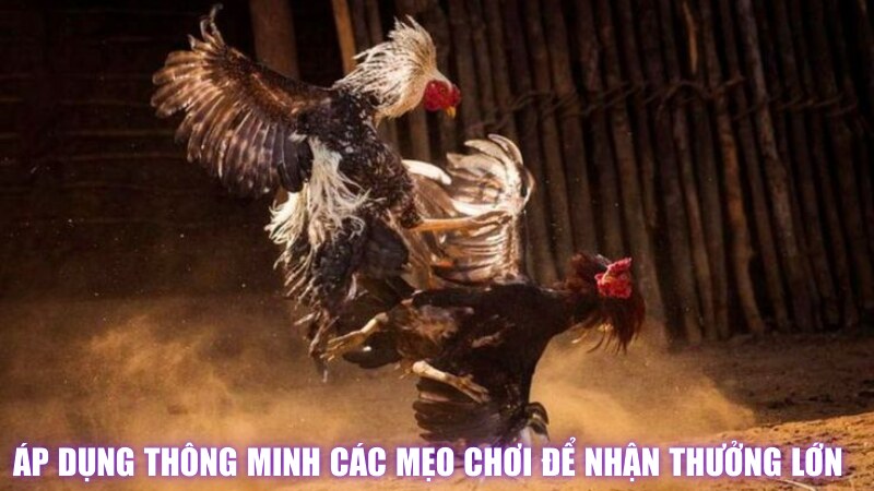 Áp Dụng Thông Minh Các Mẹo Chơi Để Nhận Thưởng Lớn 