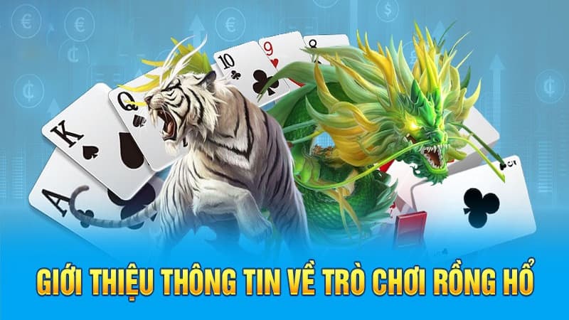 Giới thiệu thông tin về rồng hổ cho thành viên mới